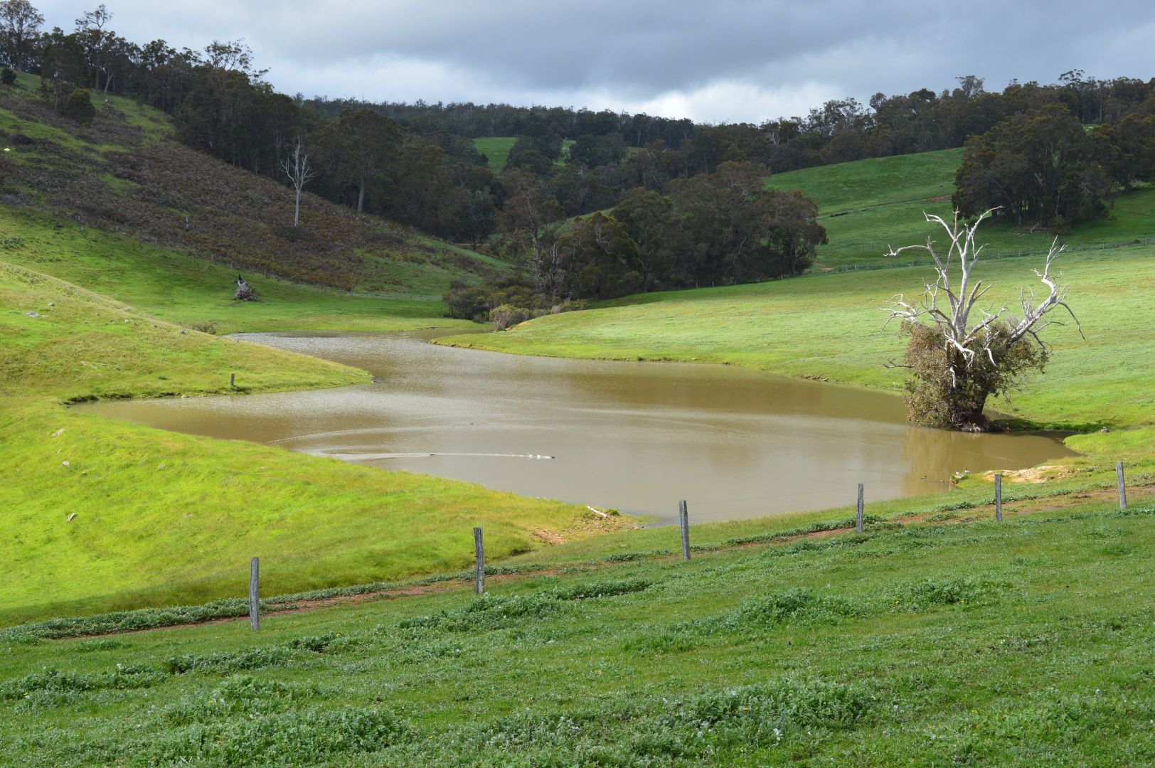 Lot 3 NIEUWENHUYZE ROAD, Kirup WA 6251, Image 2