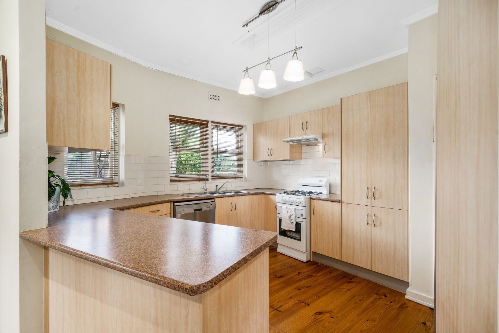 33 Quandong Street, North Brighton SA 5048, Image 2