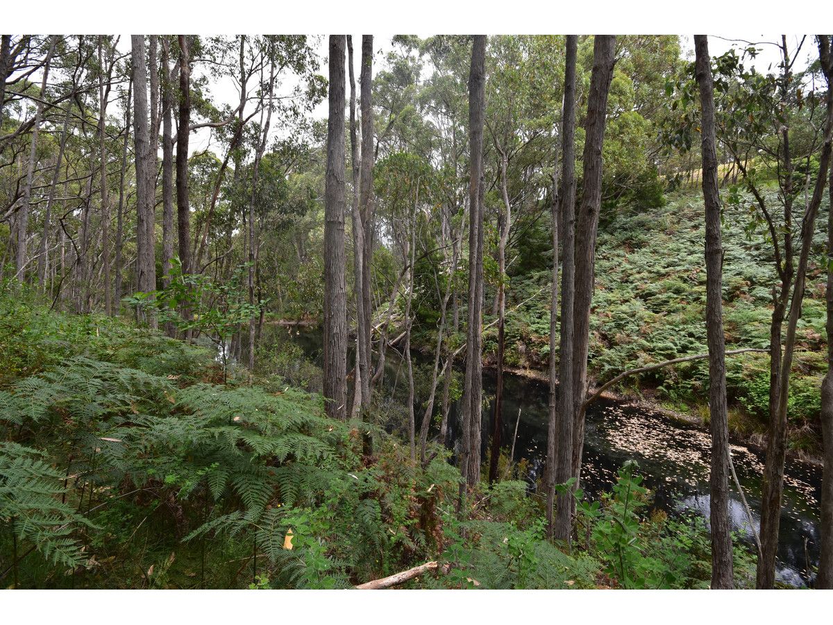 Forest Range SA 5139, Image 2