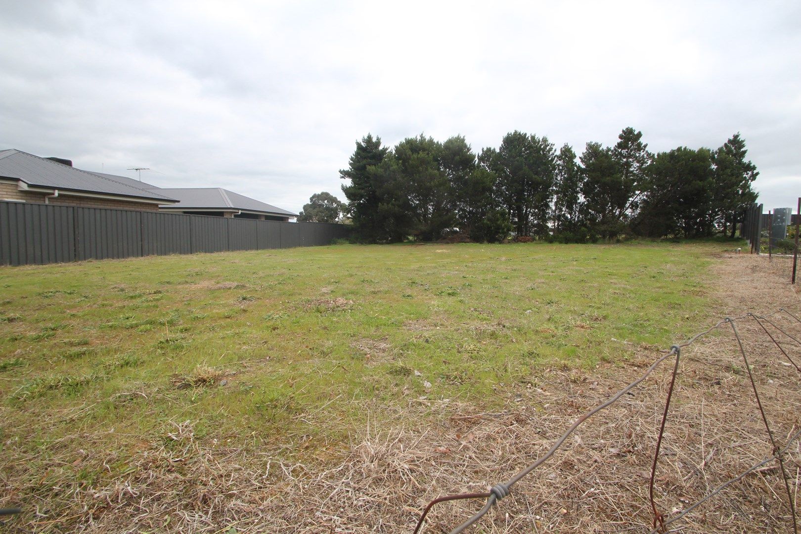 21 Heath Place, Nuriootpa SA 5355, Image 0