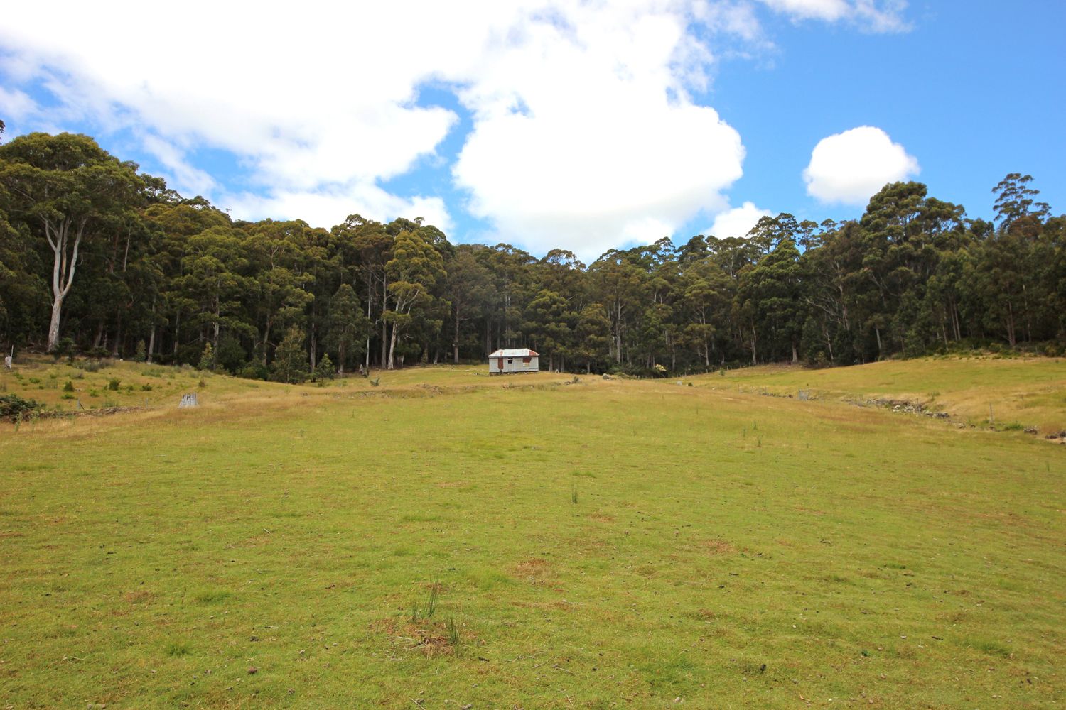 164 Mount Hull Road, Collinsvale TAS 7012, Image 1