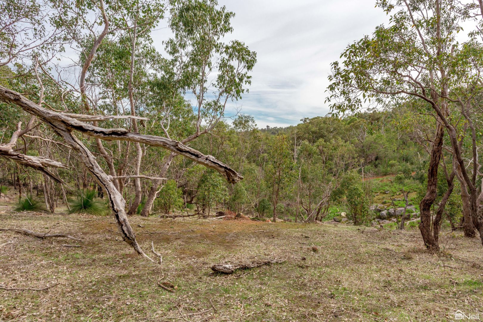 Lot 303 Nettleton Road, Byford WA 6122, Image 2