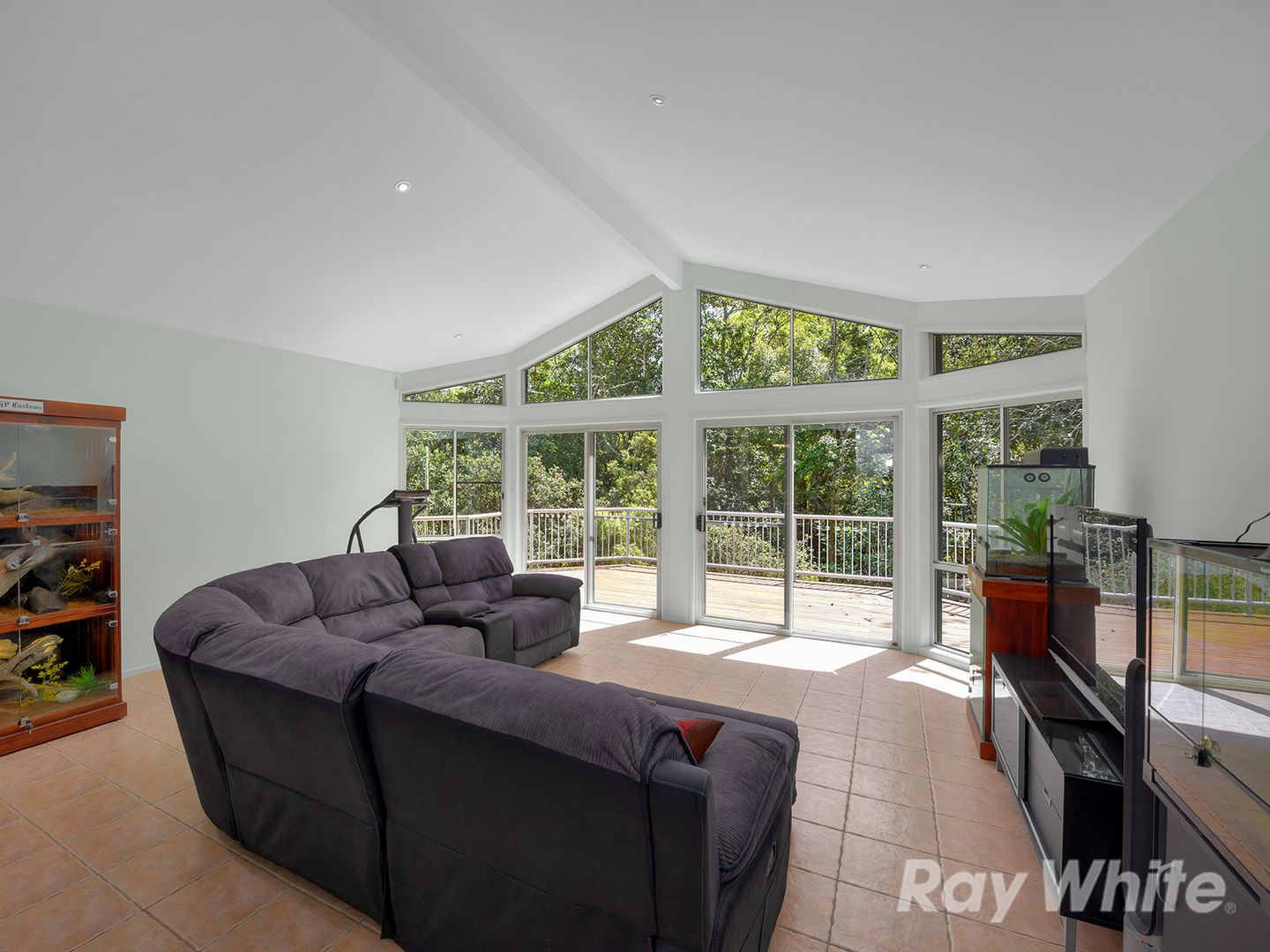 7 Peter Street South, Everton Hills QLD 4053, Image 1
