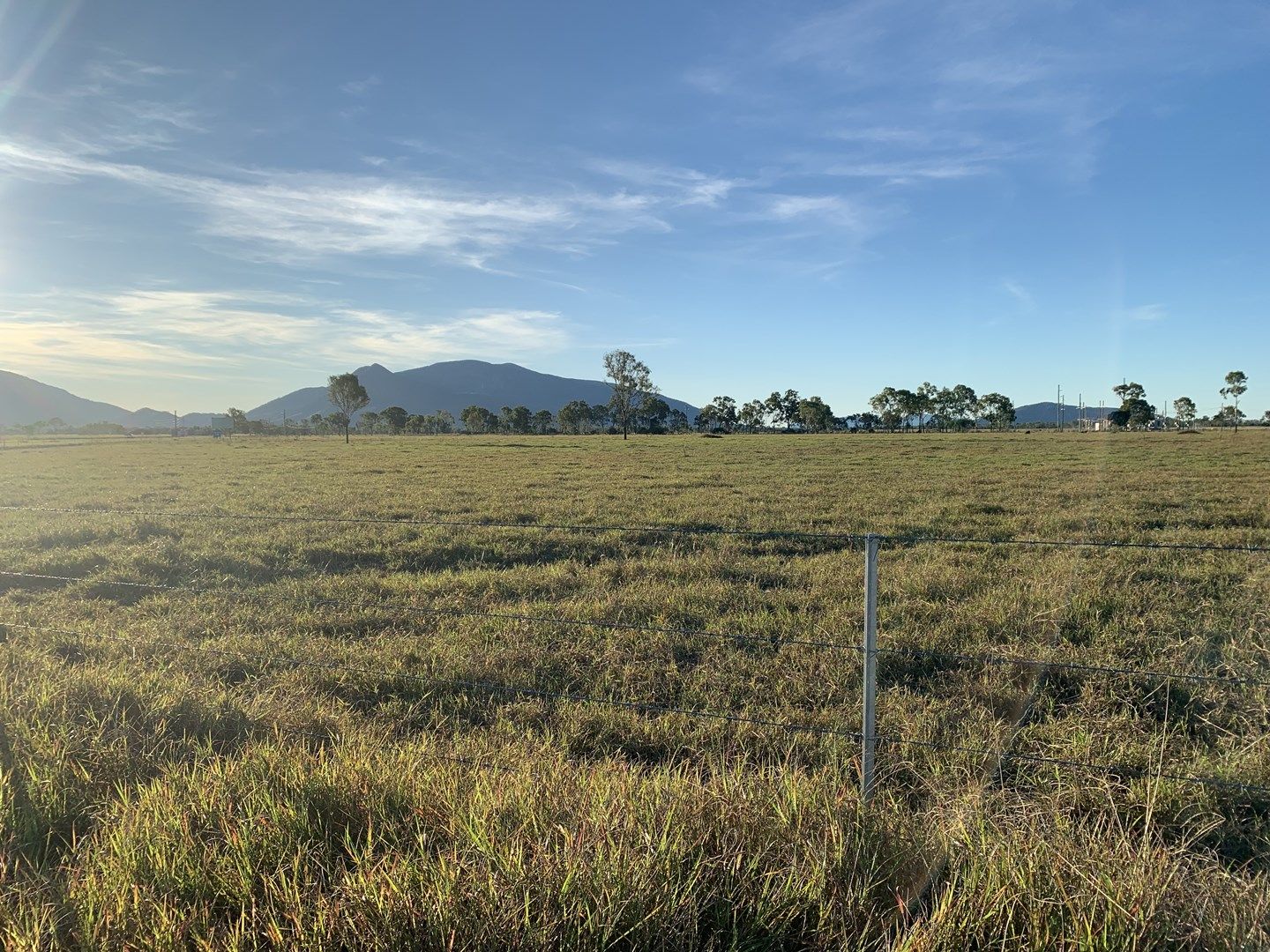 300 Woodstock Giru Road, Mount Surround QLD 4809 Specialist Farm for Sale