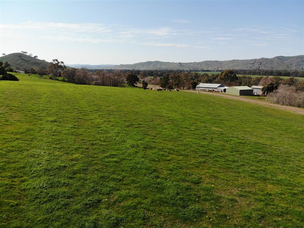 Lot 1, 10, 319 Charlotte Street, Gundagai NSW 2722, Image 2