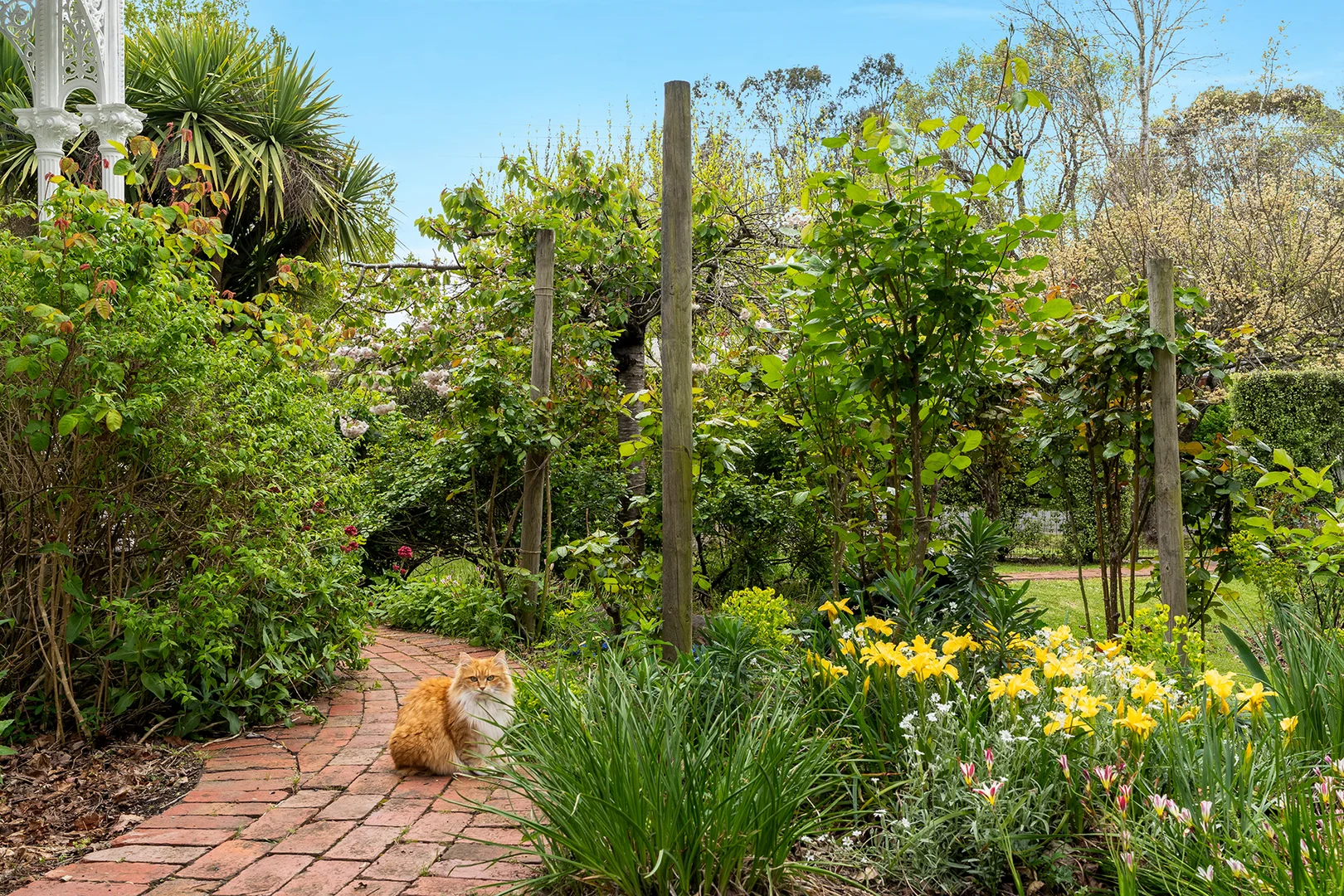 Additional image 9 of 48 Forest Street, Woodend VIC 3442