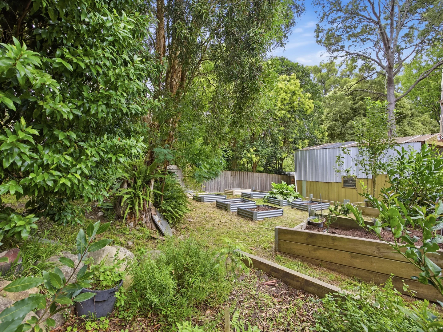 Image 15