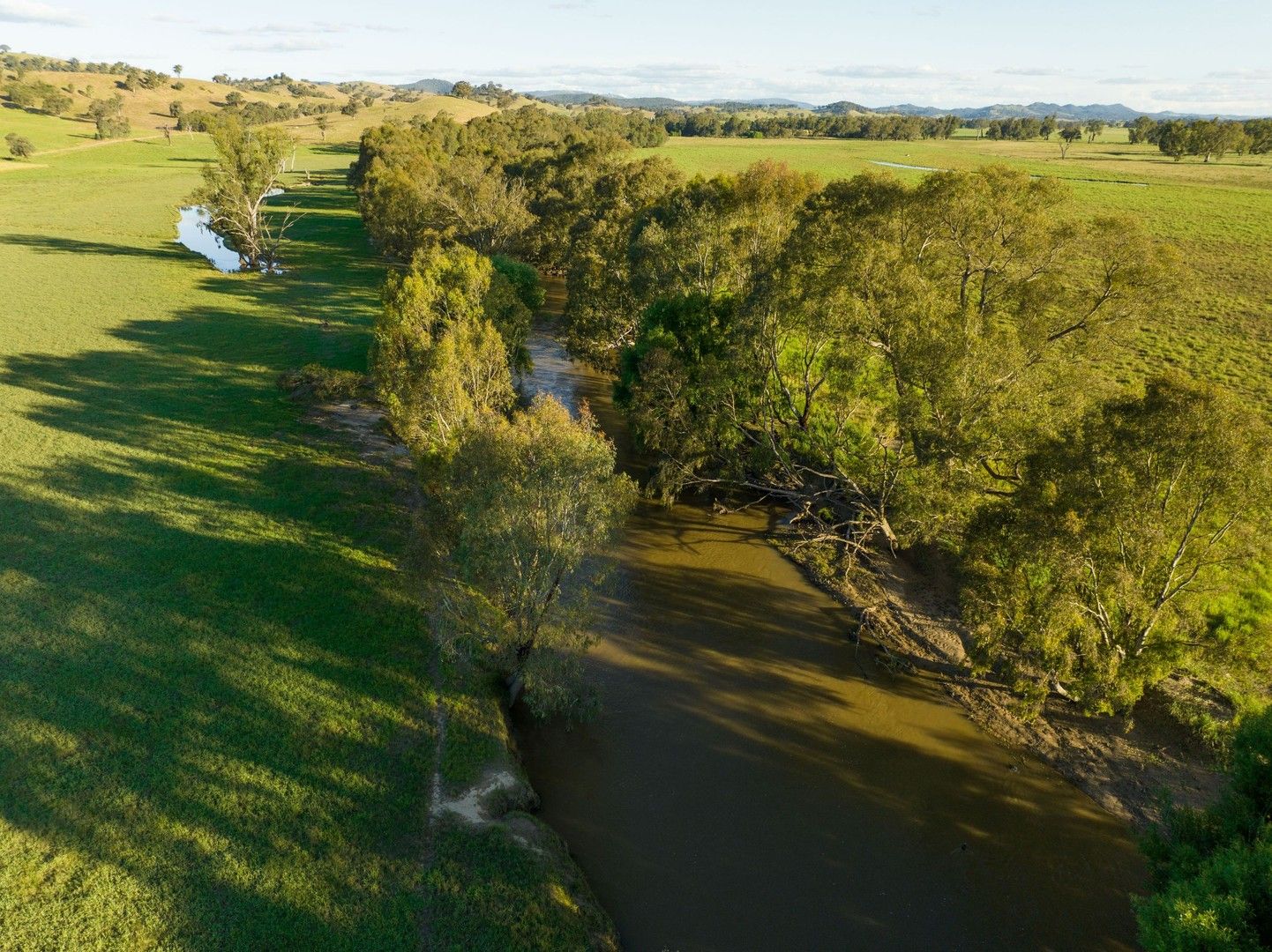 4300 Westbrook Road, Tarcutta NSW 2652 House for Sale Domain