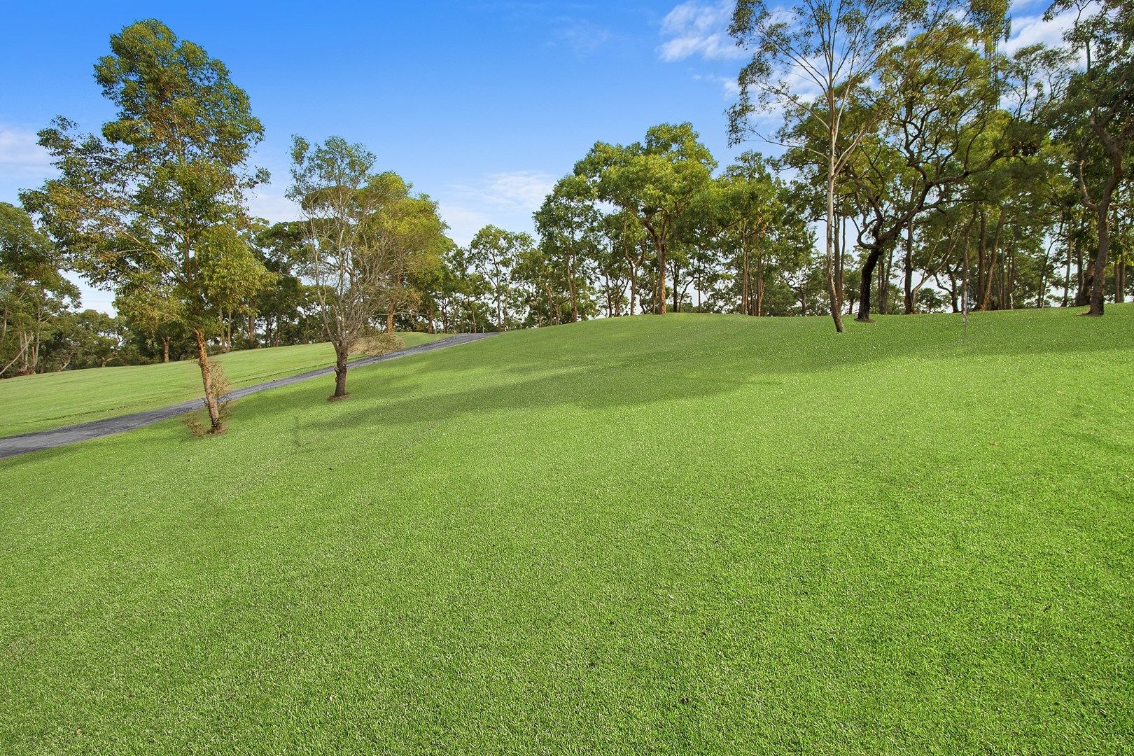 Lot 5 at 310 Pitt Town Road, Kenthurst NSW 2156, Image 1