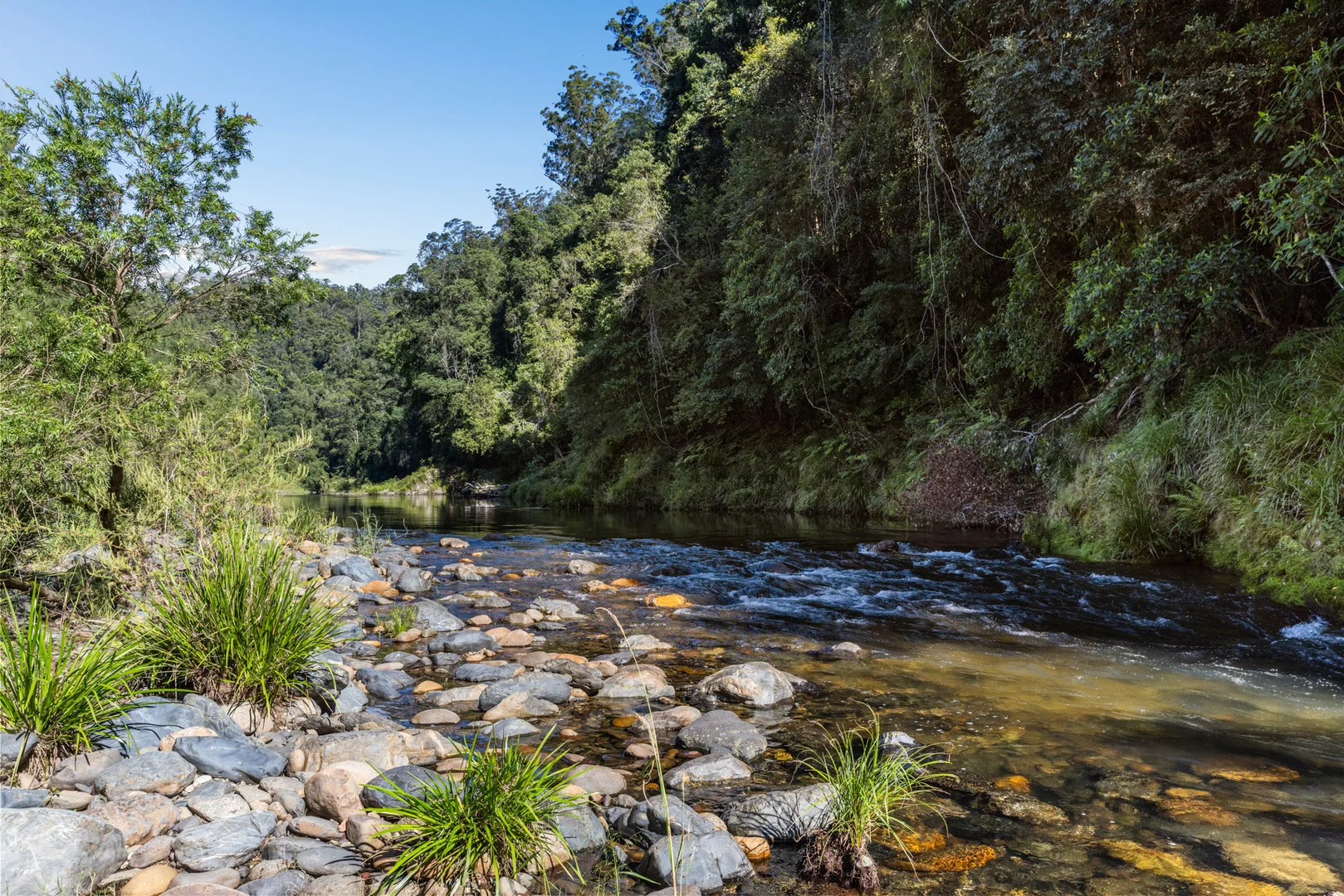 Additional image 29 of 1476 Darkwood Road, Bellingen NSW 2454