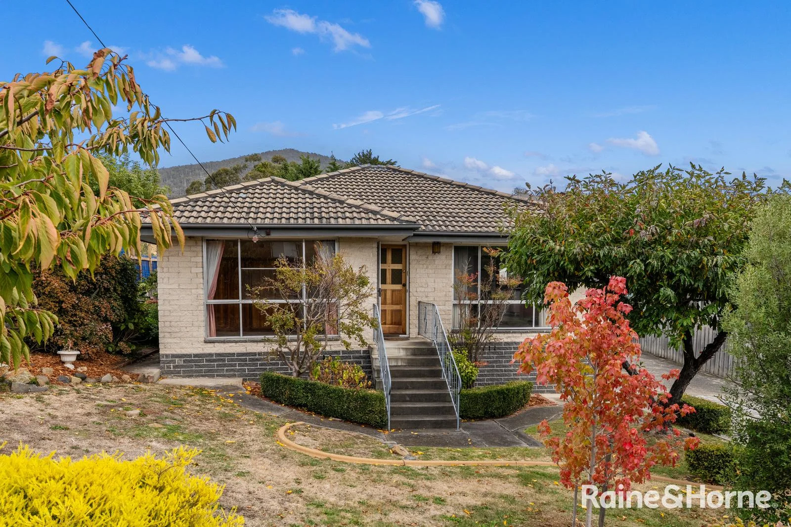 Primary image of 7 Mitchell Avenue, Rosetta TAS 7010