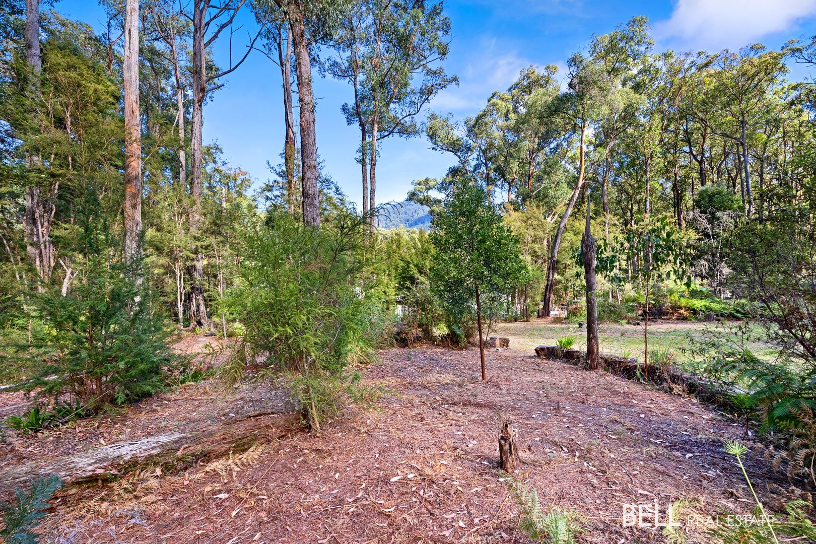 25 Lyrebird Avenue, East Warburton VIC 3799, Image 2