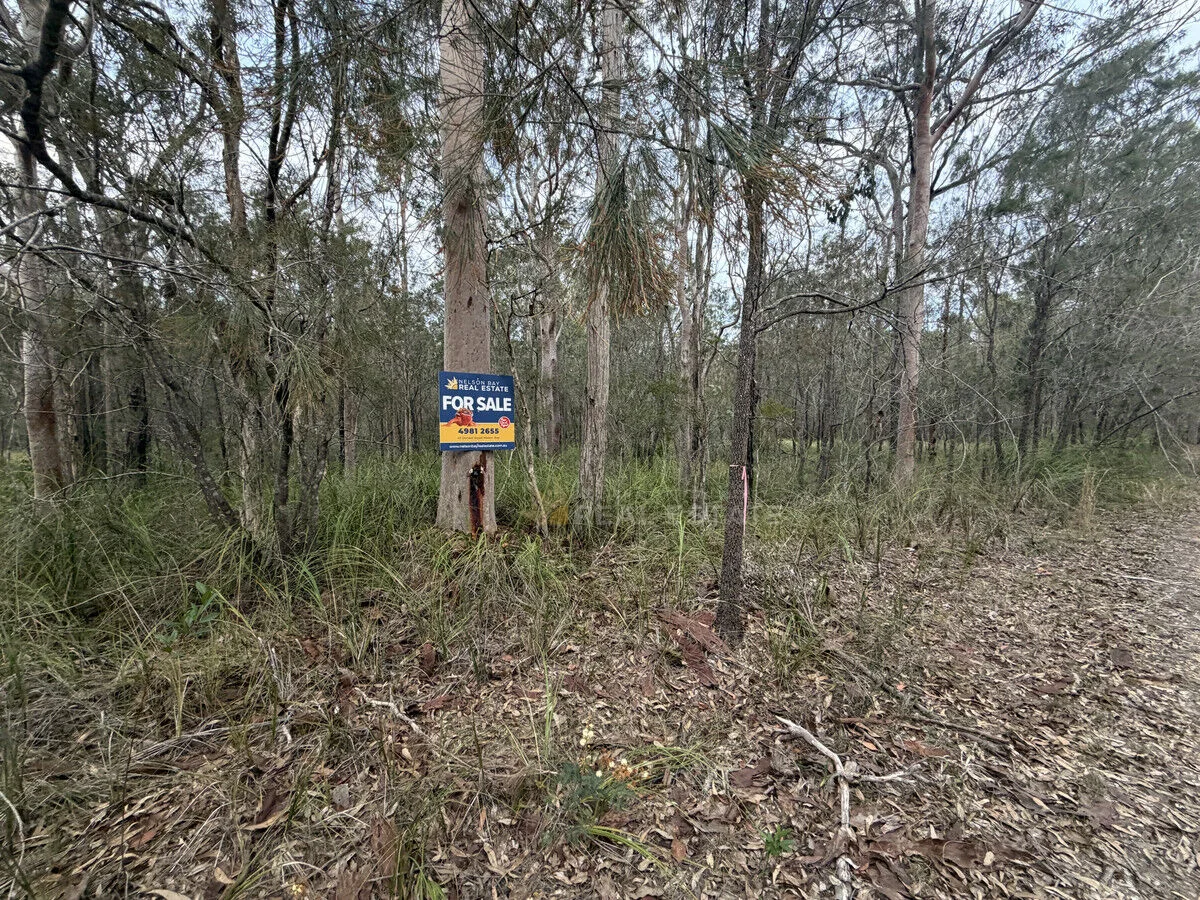 Image 13