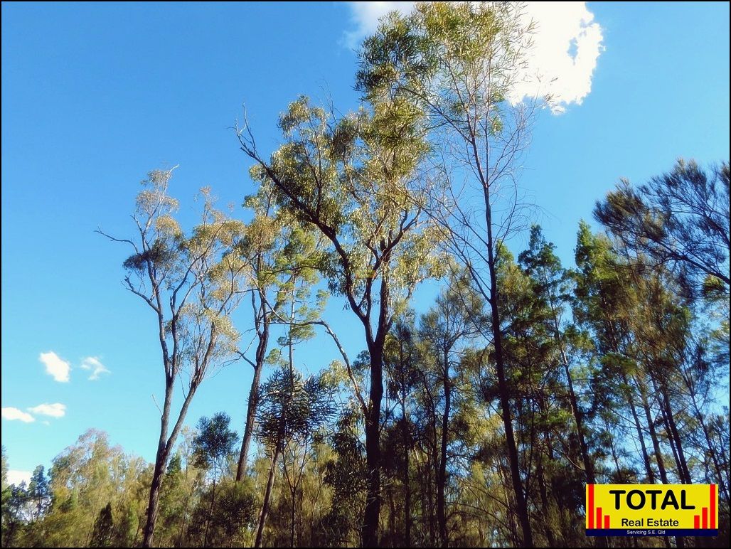 Orchid Drive, Millmerran Woods QLD 4357 House for Sale Domain