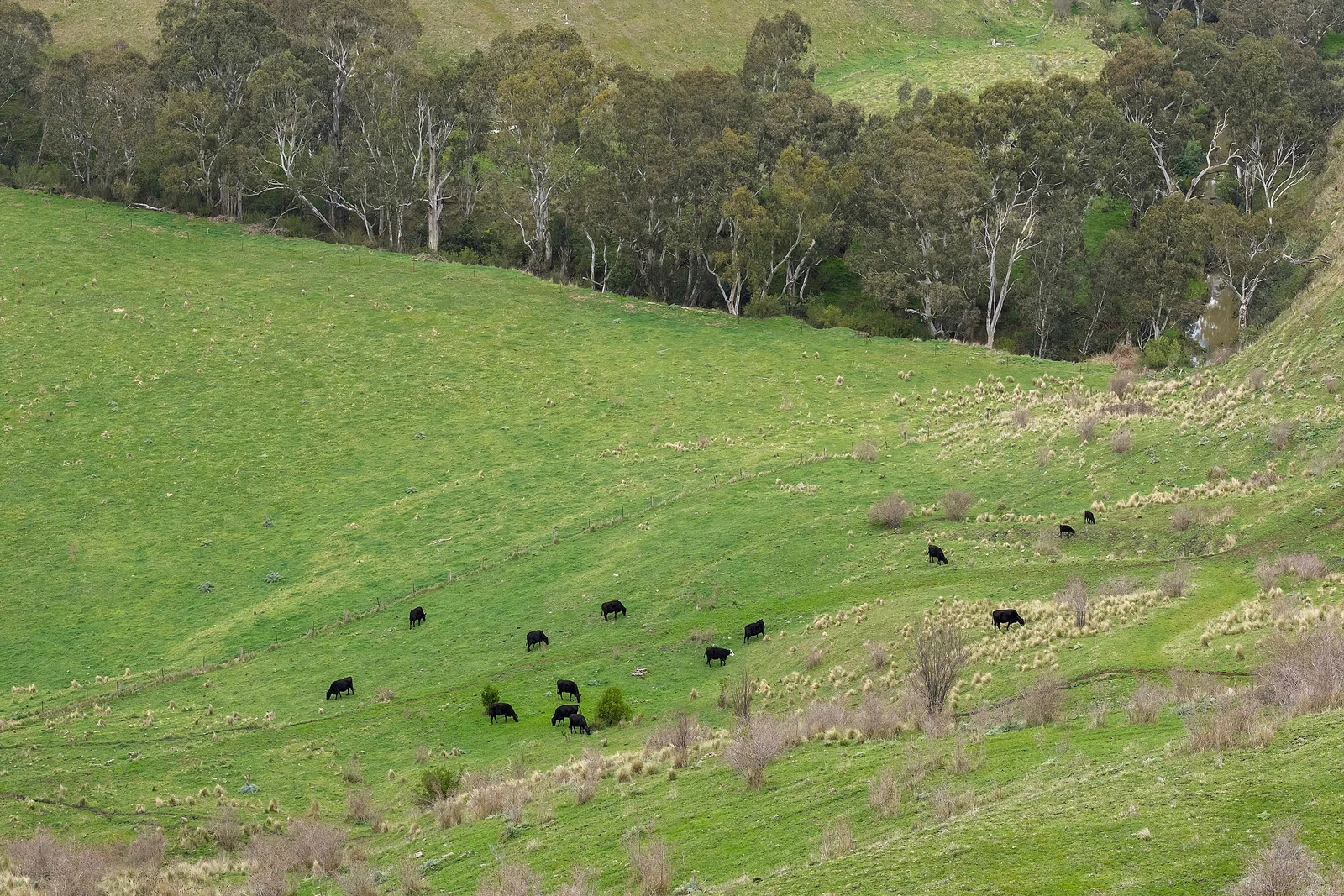 Additional image 14 of 190 Konagaderra Road, Oaklands Junction VIC 3063