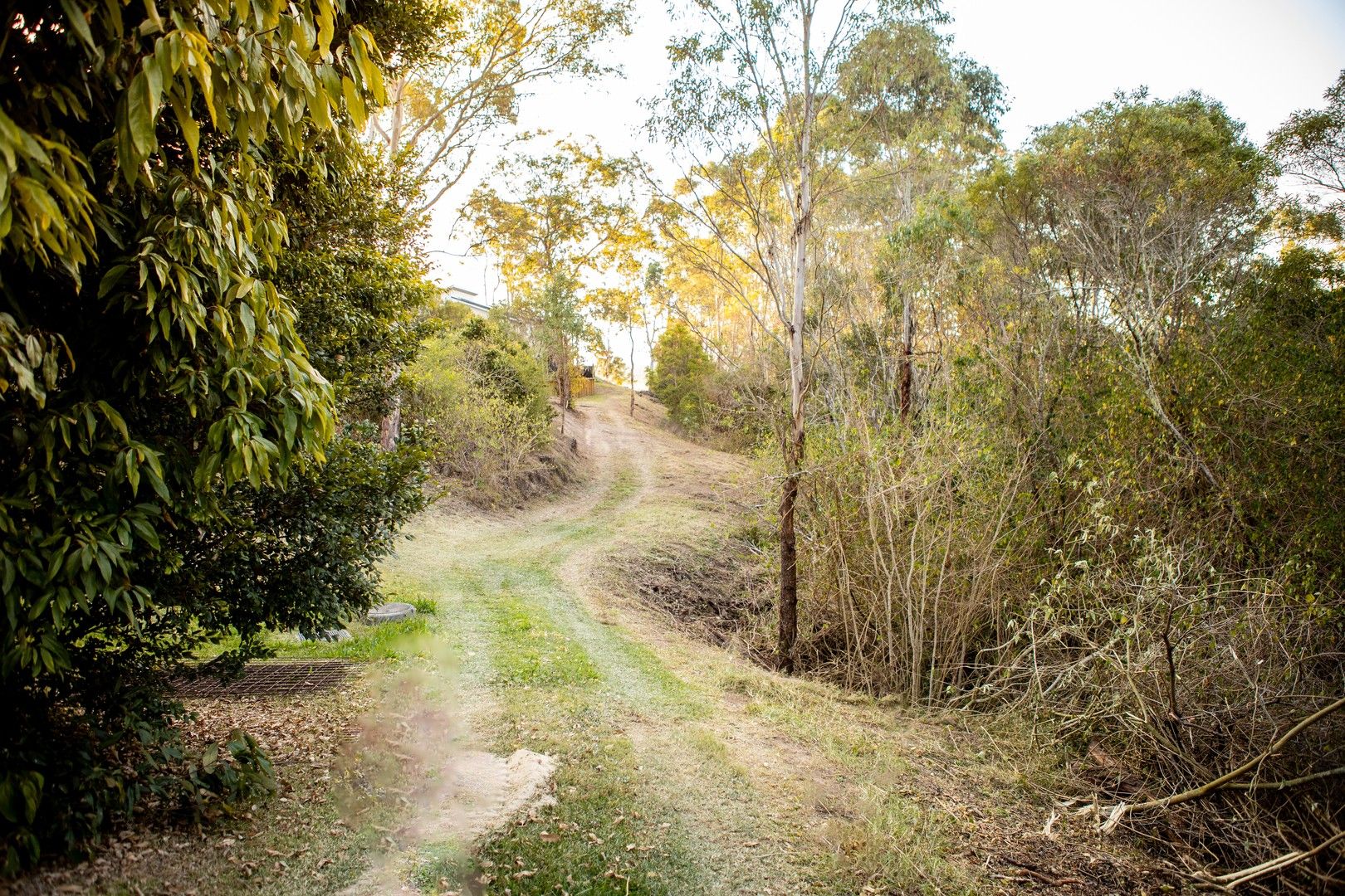 Vacant land in 54 Cowan Road, TAREE NSW, 2430