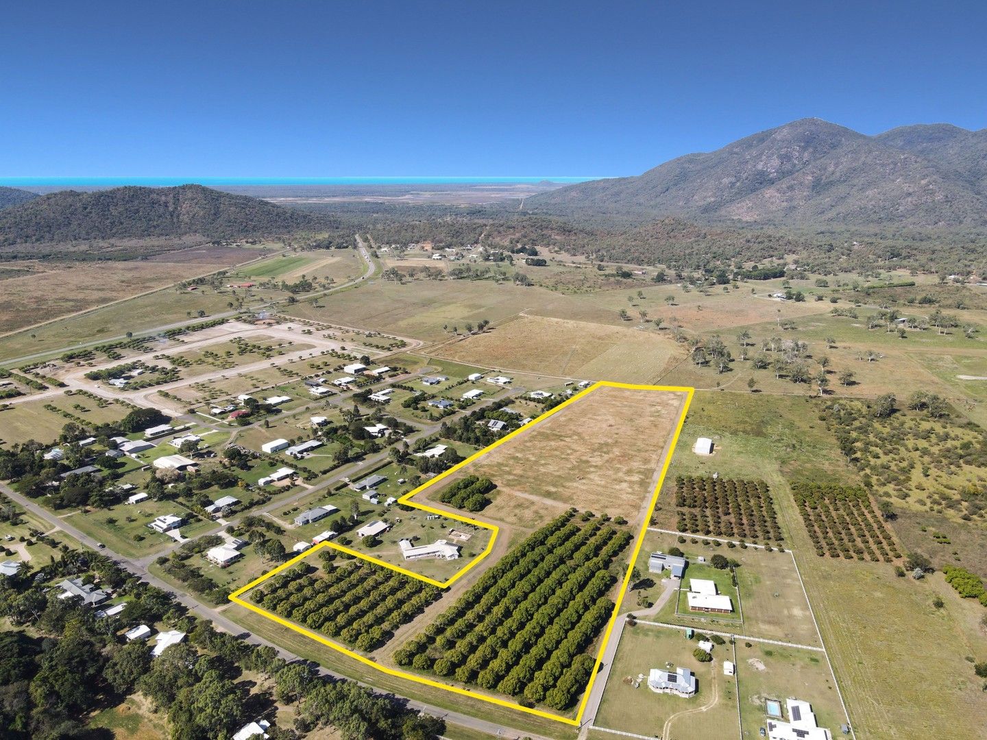 81 Williams Road, Alligator Creek QLD 4816 Domain