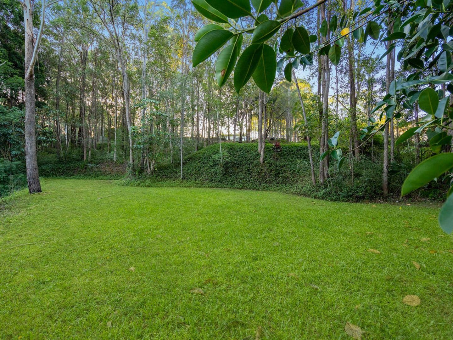 Vacant land in 29 Goenoeng Drive, TANAH MERAH QLD, 4128