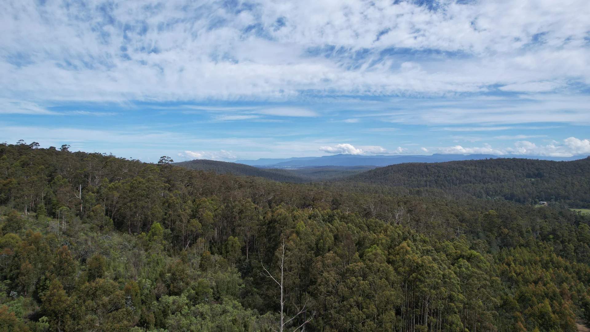 Additional image 7 of 0a Priestleys Lane, Birralee TAS 7303