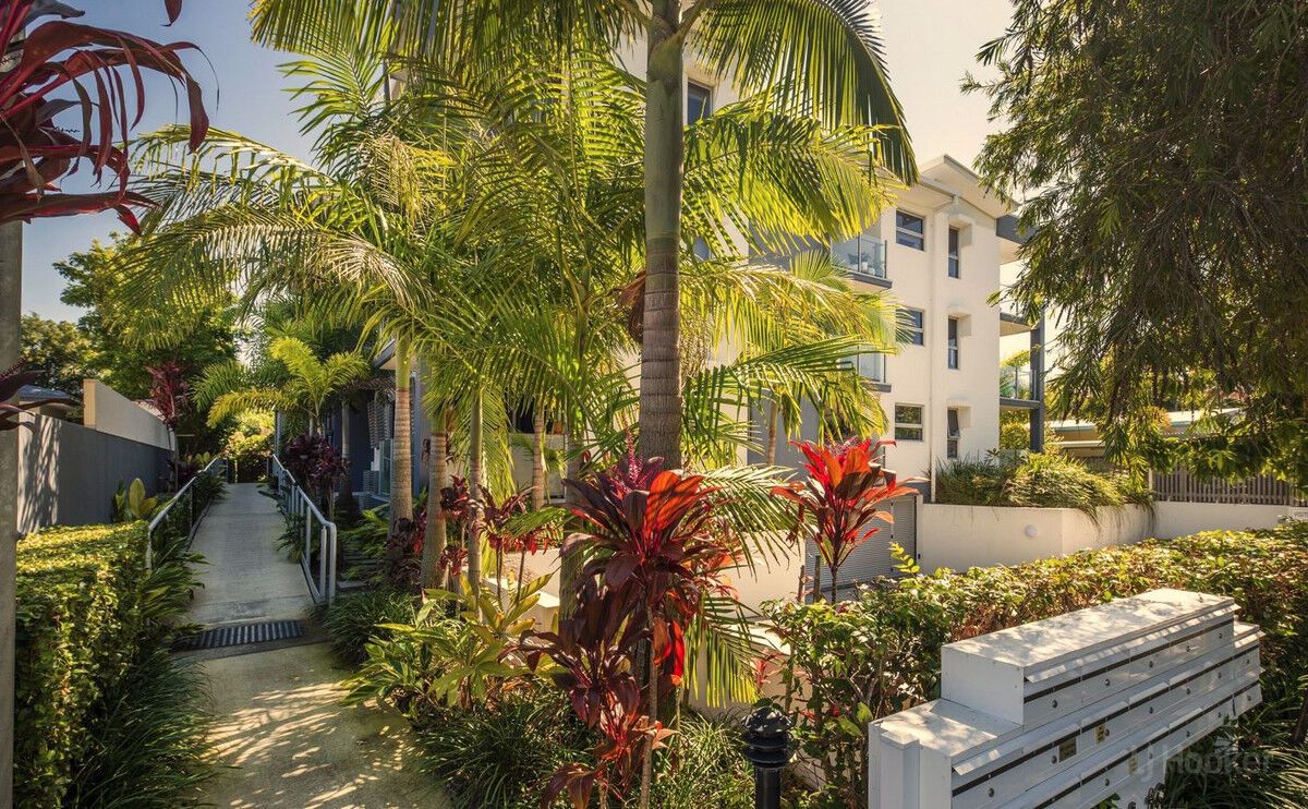 10/1416 Proud Street, Labrador QLD 4215 Apartment For Rent Domain