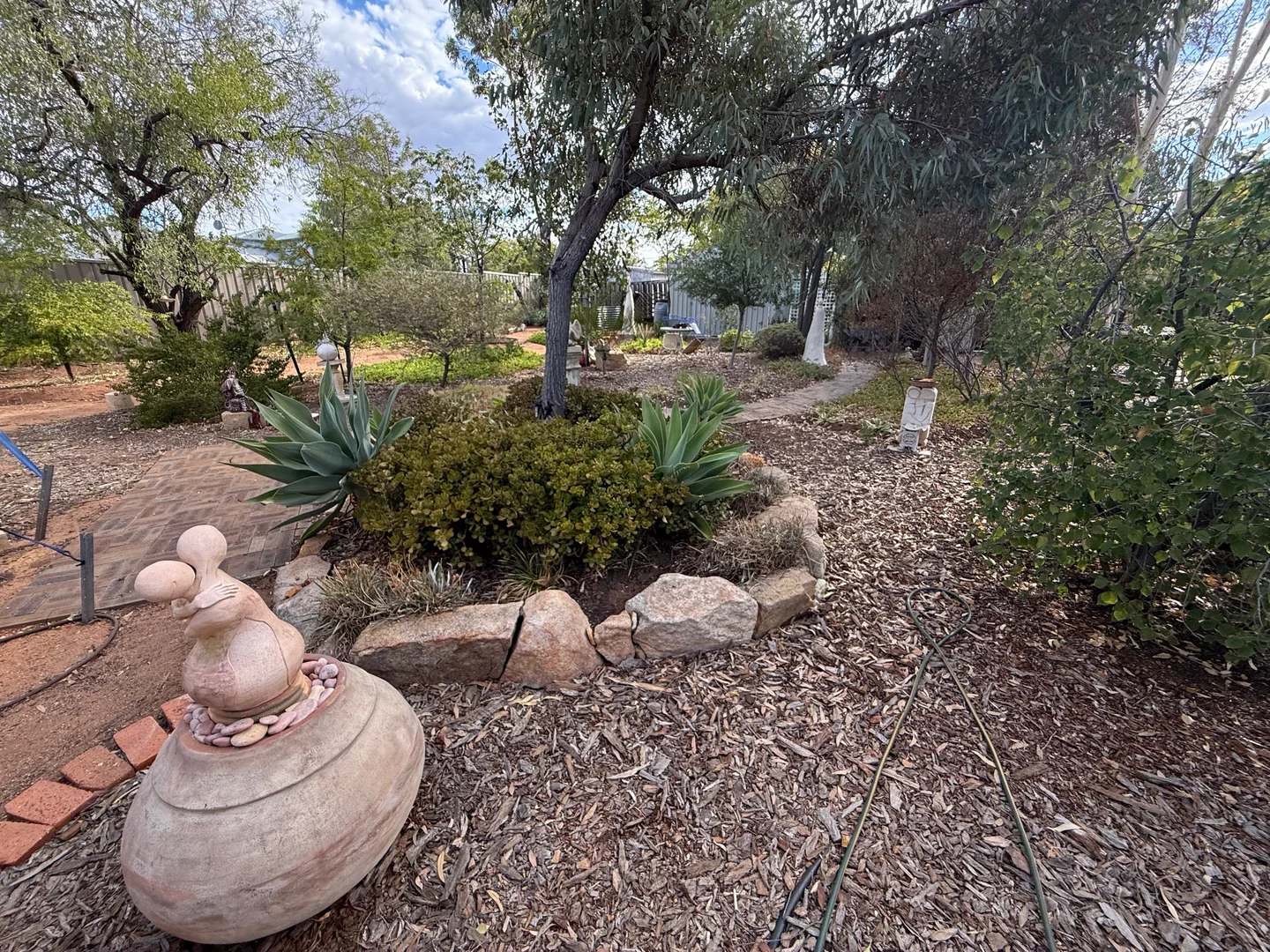 Image 25