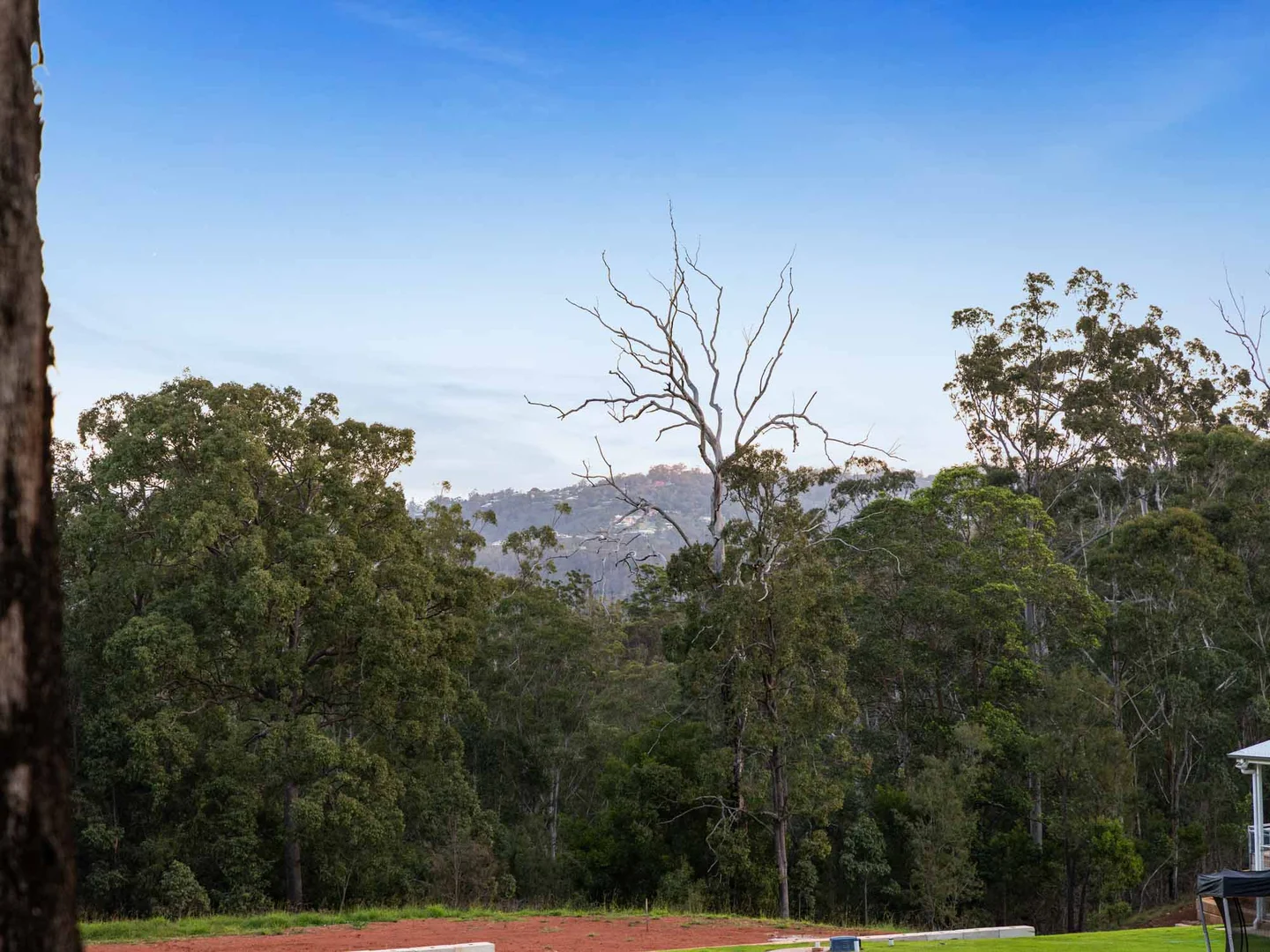 Image 23