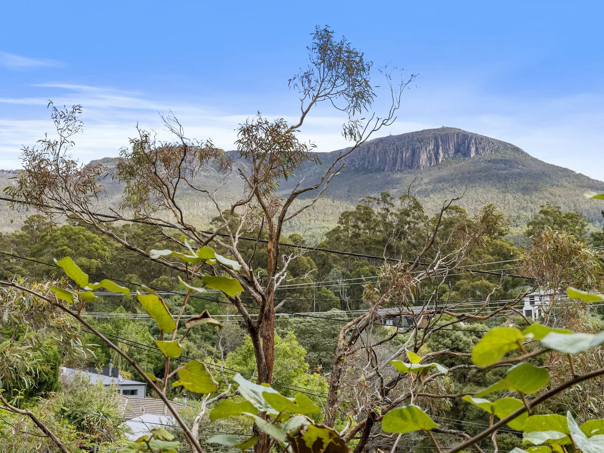 Additional image 13 of 1/118 Strickland Avenue, South Hobart TAS 7004