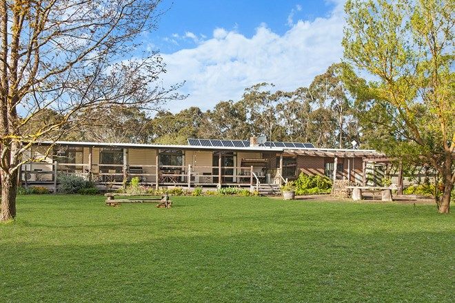 Picture of 156 Berrys Road, BOLWARRA VIC 3305