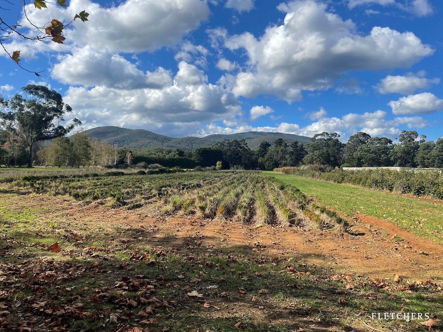 60 Railway Road, Yarra Junction VIC 3797 Vacant Land for Sale
