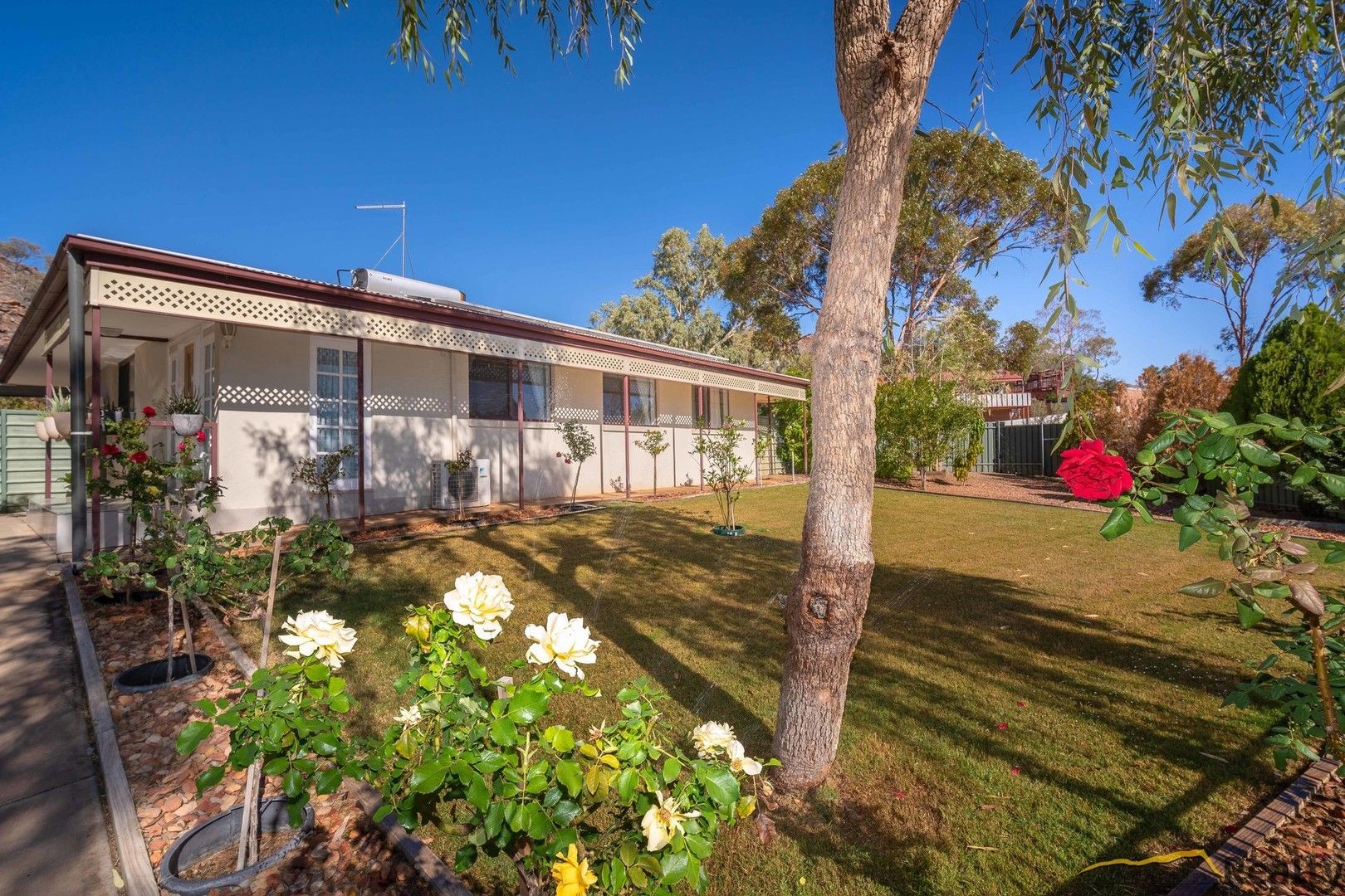 37 Nelson Terrace, Araluen NT 0870, Image 1