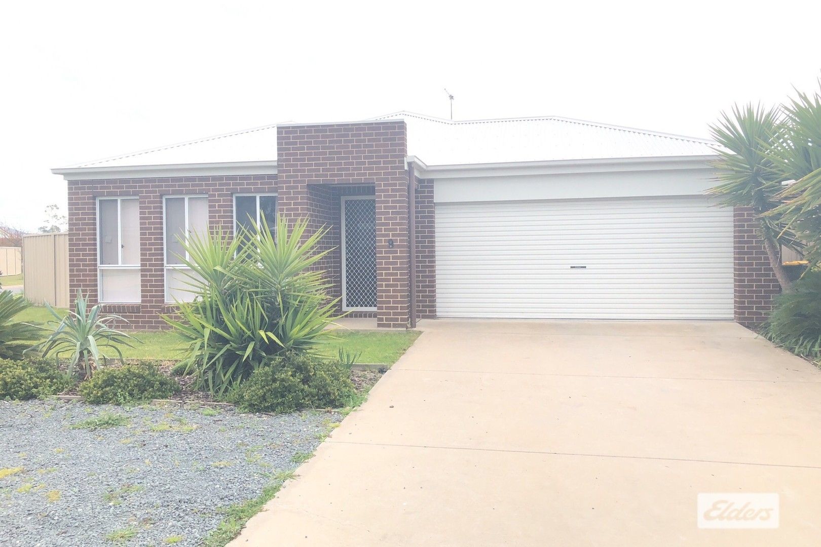 9 Britton Court, Jindera NSW 2642 House For Rent Domain