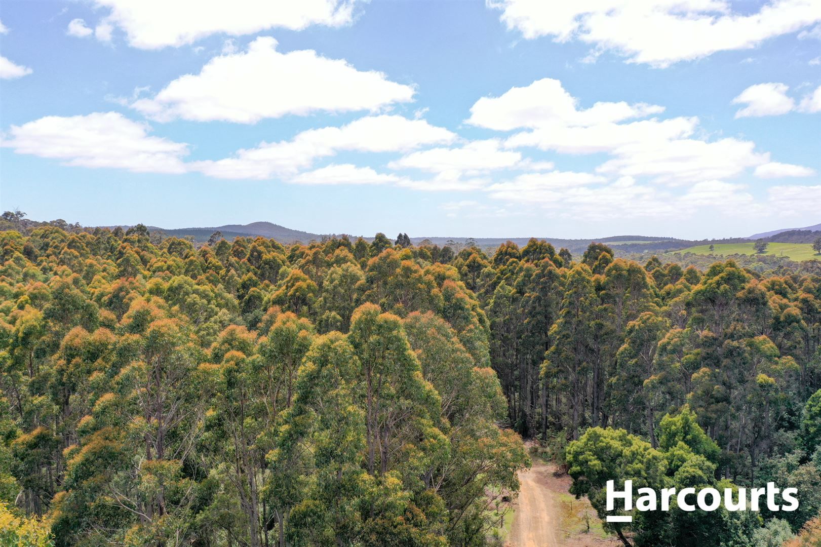 lot 1 Johnsons Road, Winnaleah TAS 7265, Image 1