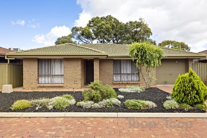 Picture of 3/274 Belair Road, TORRENS PARK SA 5062