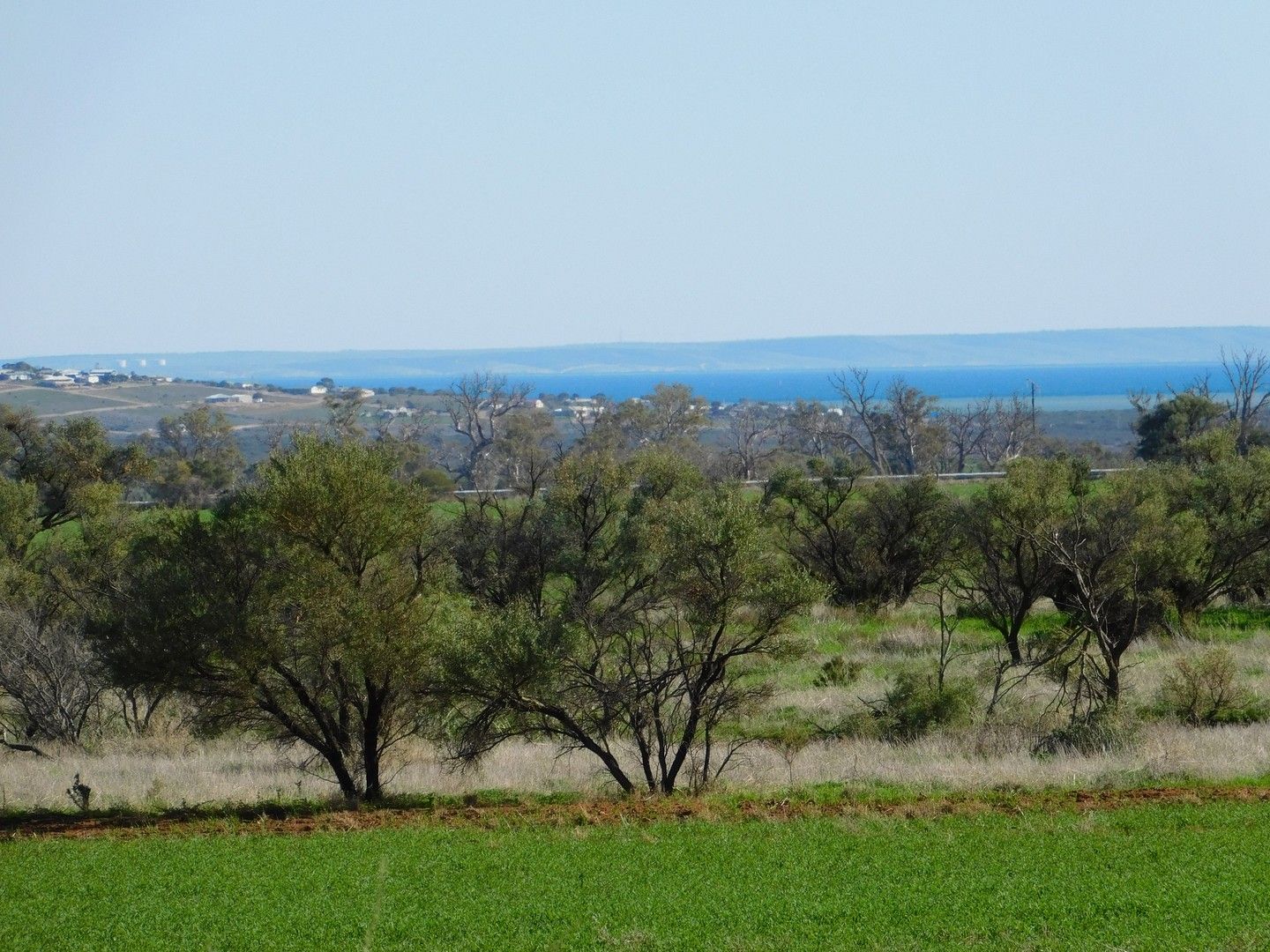 Lot 22 Muster Drive North, Napperby SA 5540, Image 0