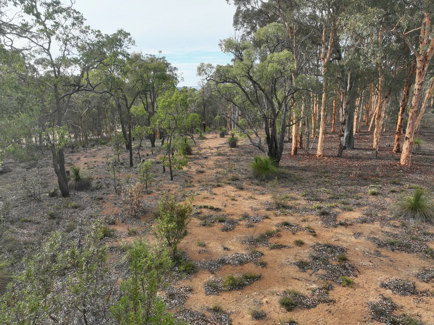 Image 15