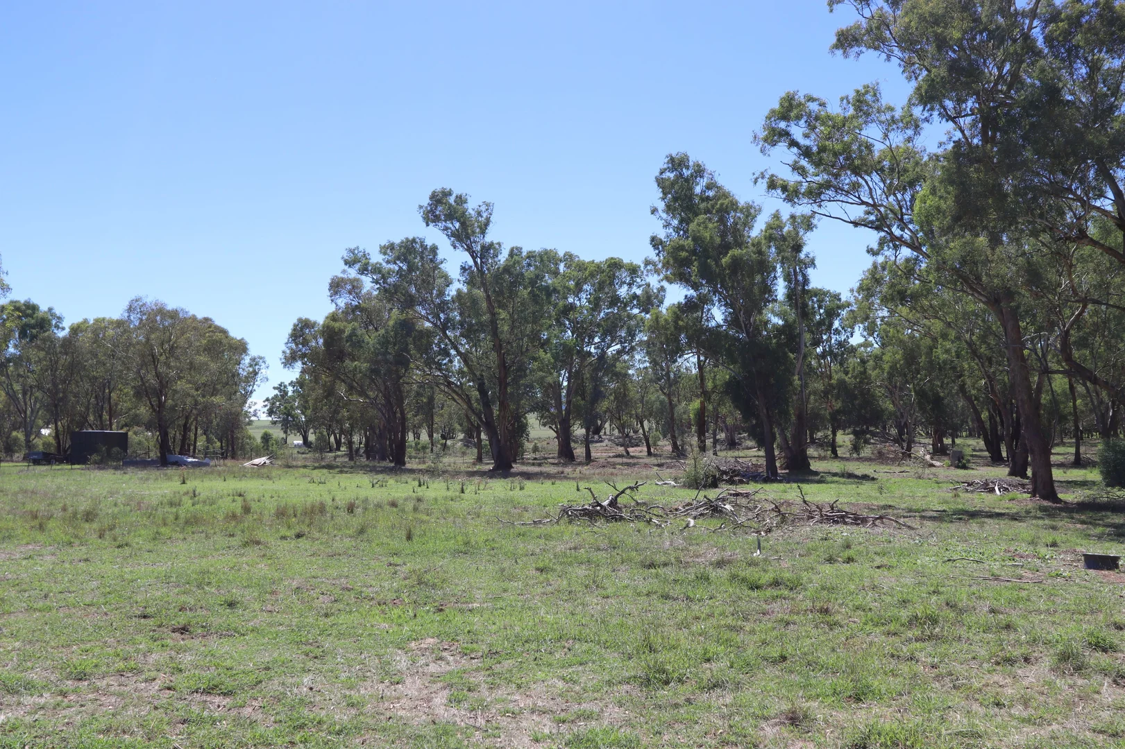 Additional image 5 of 52 BENDICK MURRELL ROAD, Bendick Murrell via, Young NSW 2594