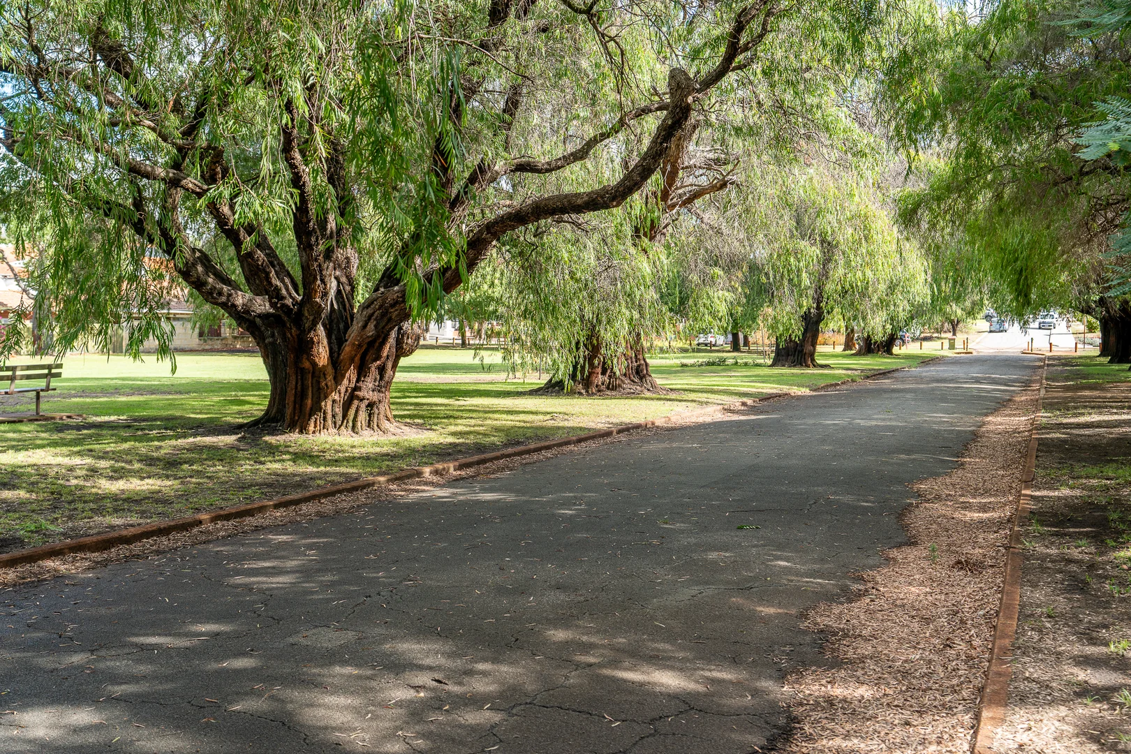 Additional image 8 of 36 John Street, Inglewood WA 6052