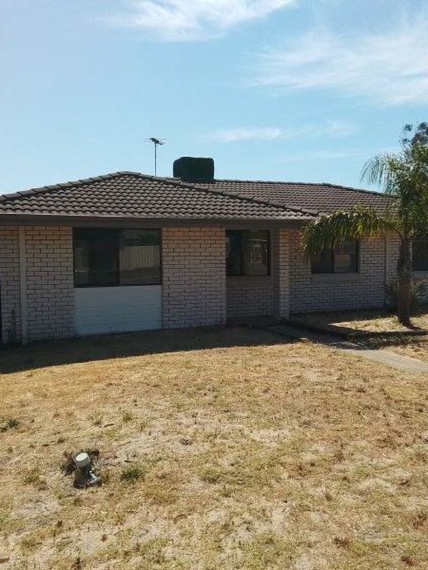 7 Quail Place, Langford WA 6147 House For Rent Domain