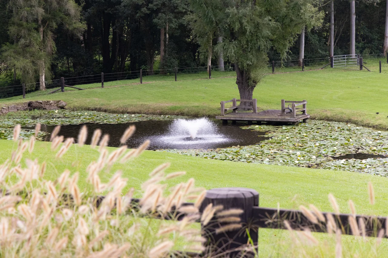 Image 29