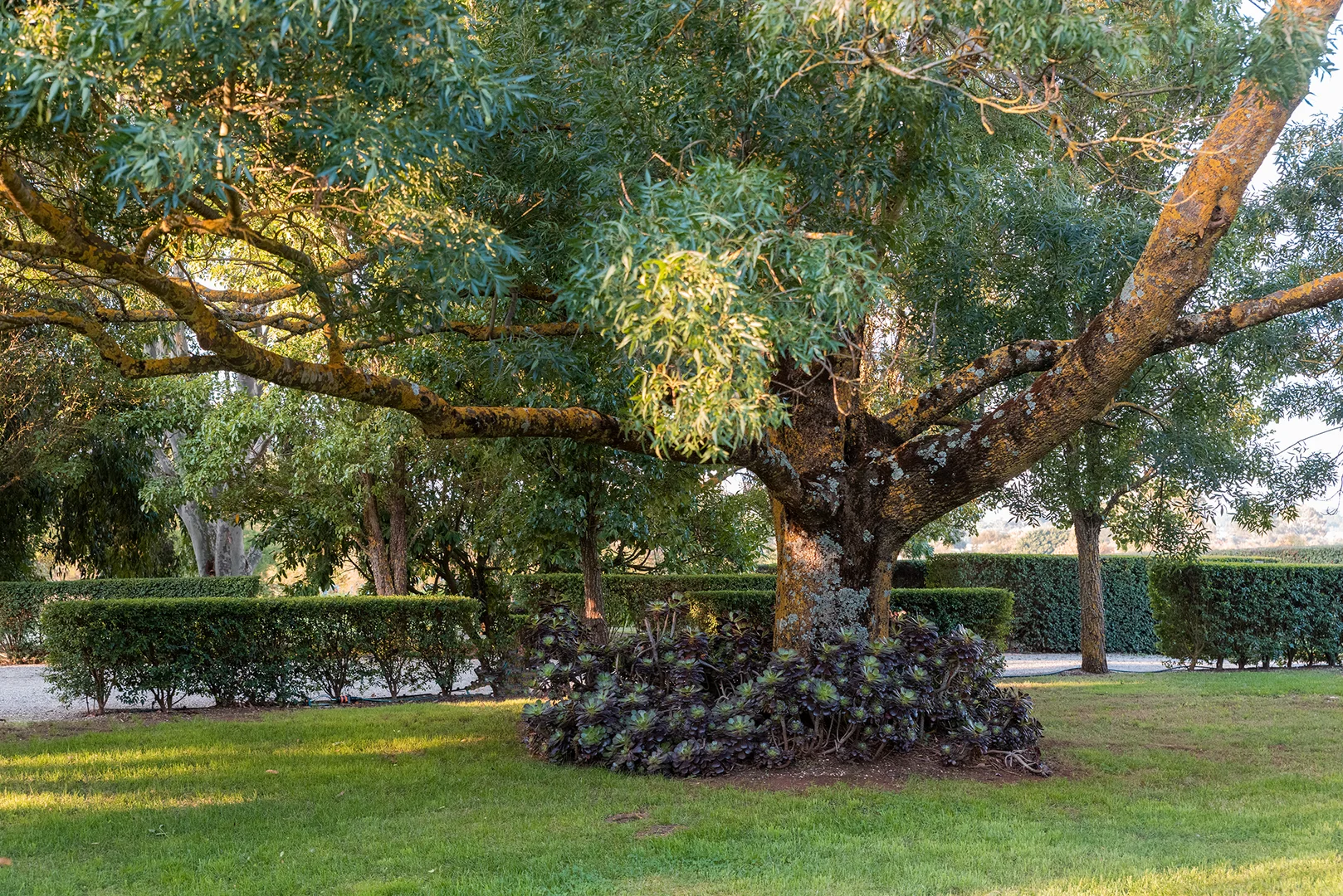 Additional image 24 of 90 Whitehands Road, Weatherboard VIC 3352