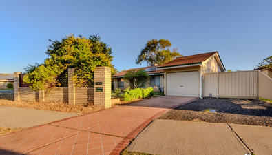 Picture of 41 Cuthbertson Drive, COOLOONGUP WA 6168
