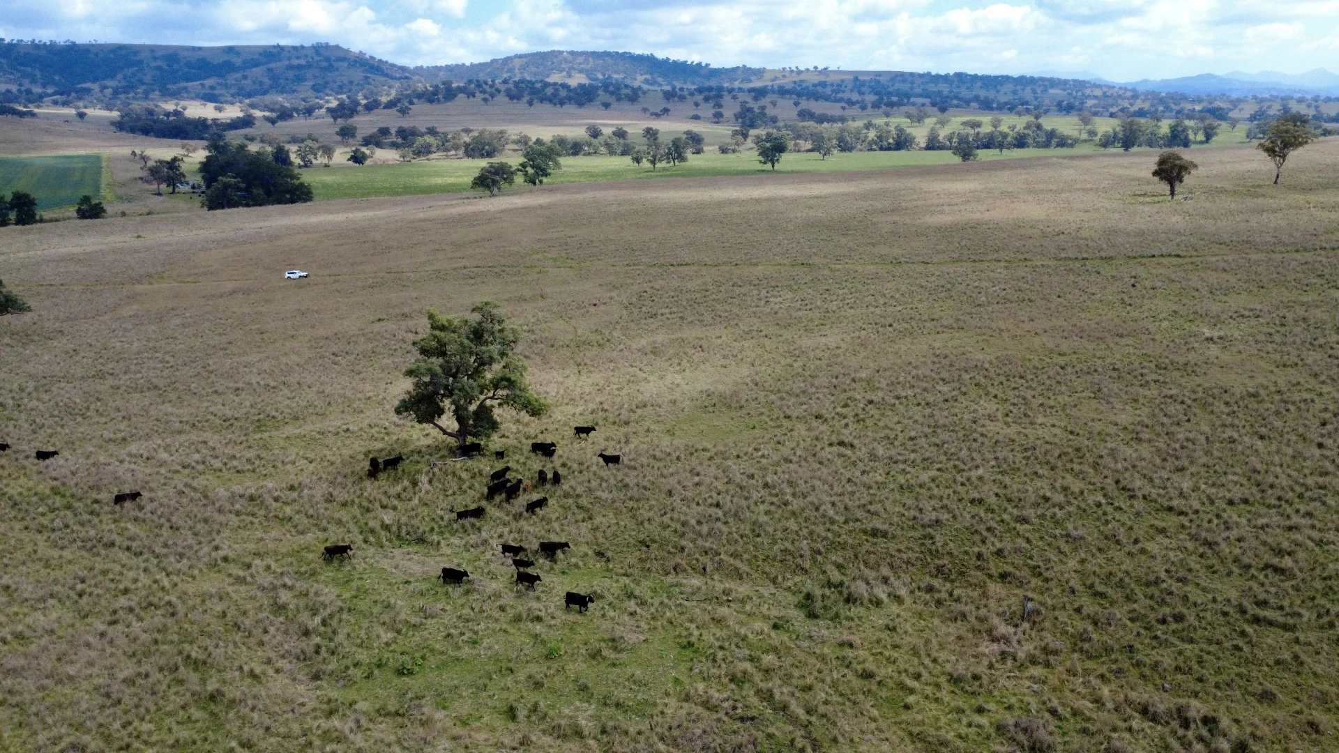 Additional image 13 of "Gummun" Coulsons Creek Road, Merriwa NSW 2329
