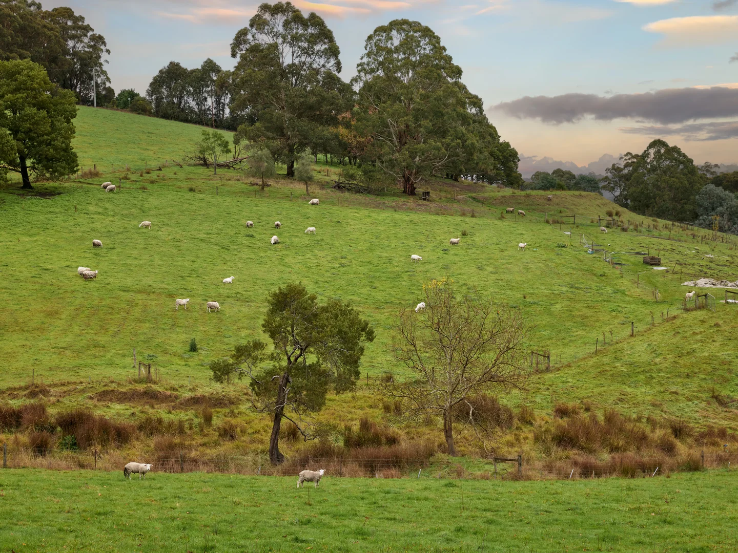 Image 13