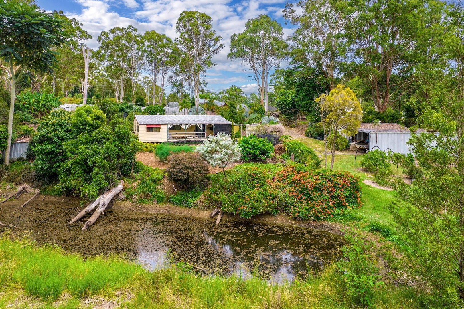 381 Eel Creek Road, Pie Creek QLD 4570, Image 0