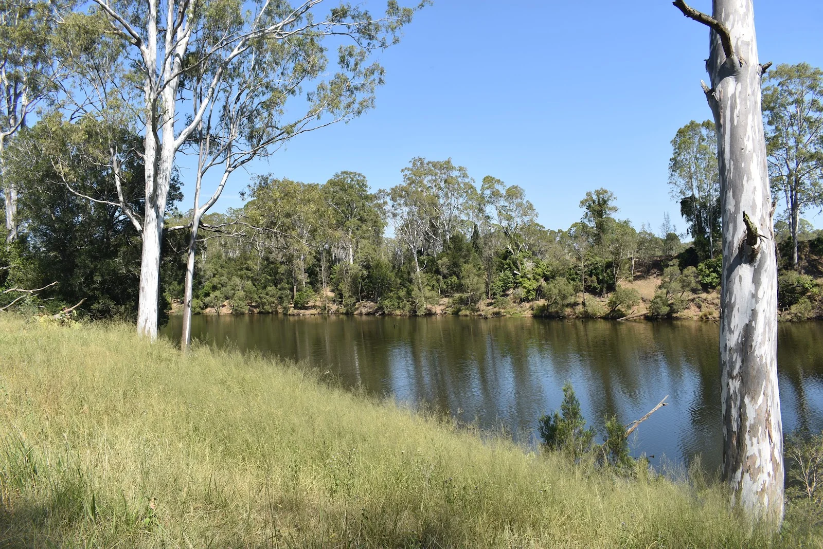 Additional image 9 of lot 103 Pidgeons Road, Tiaro QLD 4650