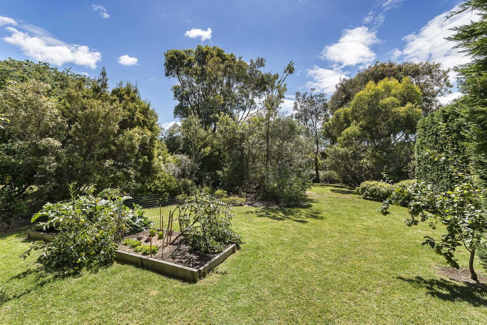 8 Gordon Street, Flinders VIC 3929, Image 2