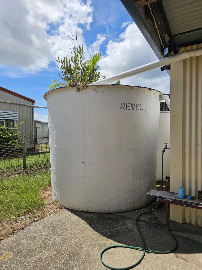 Image 19
