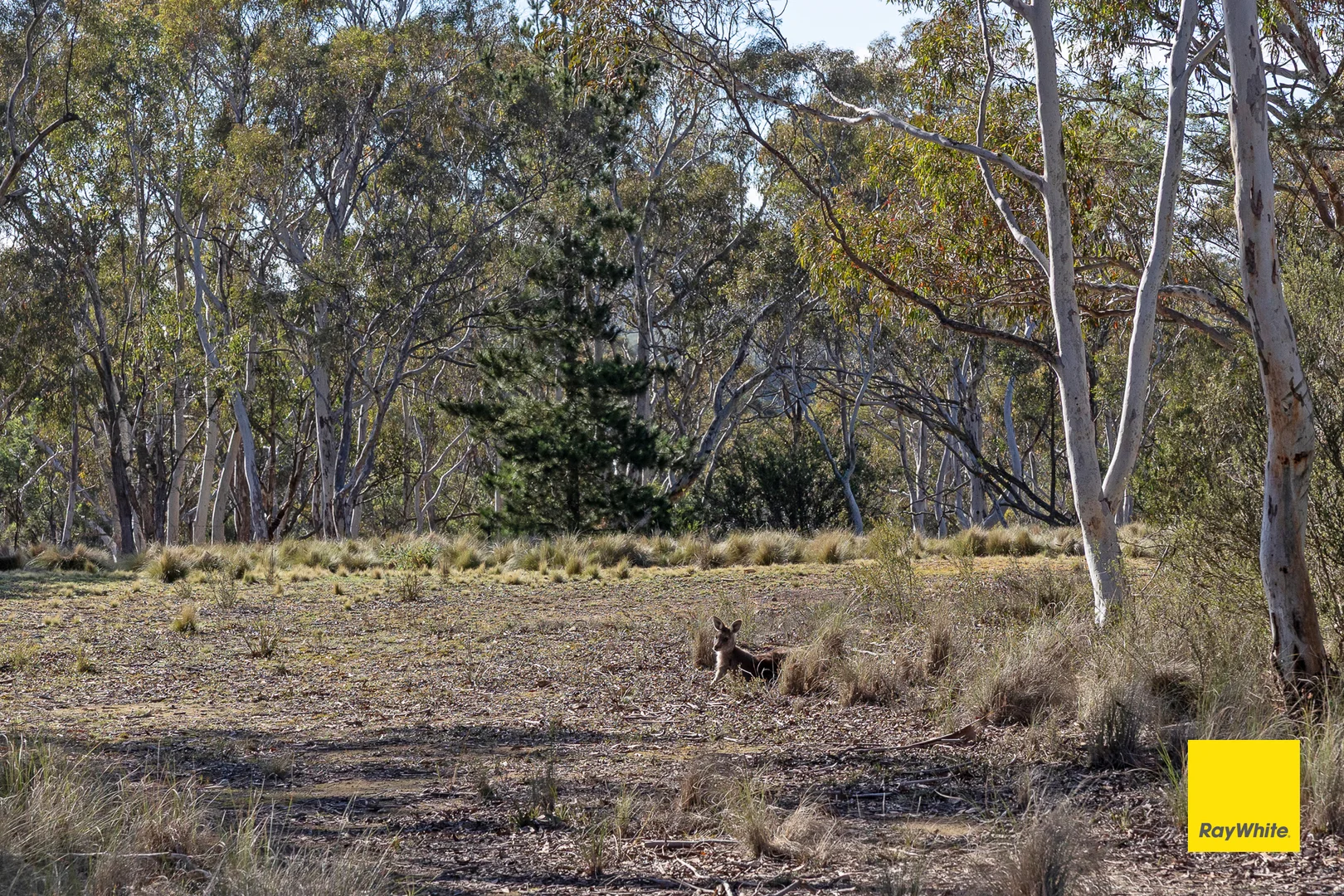Image 14