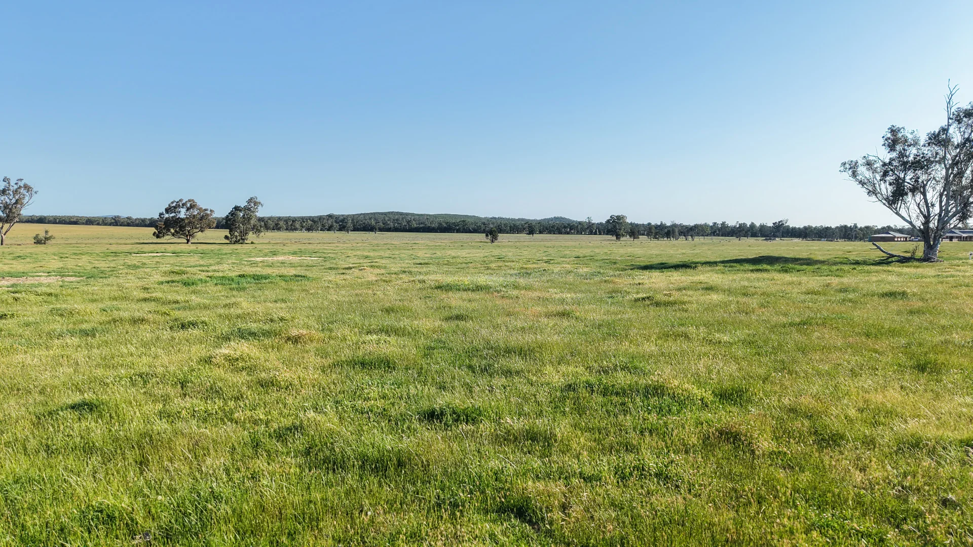 Additional image 7 of "Katella" 7878 Newell Highway, Tomingley NSW 2869