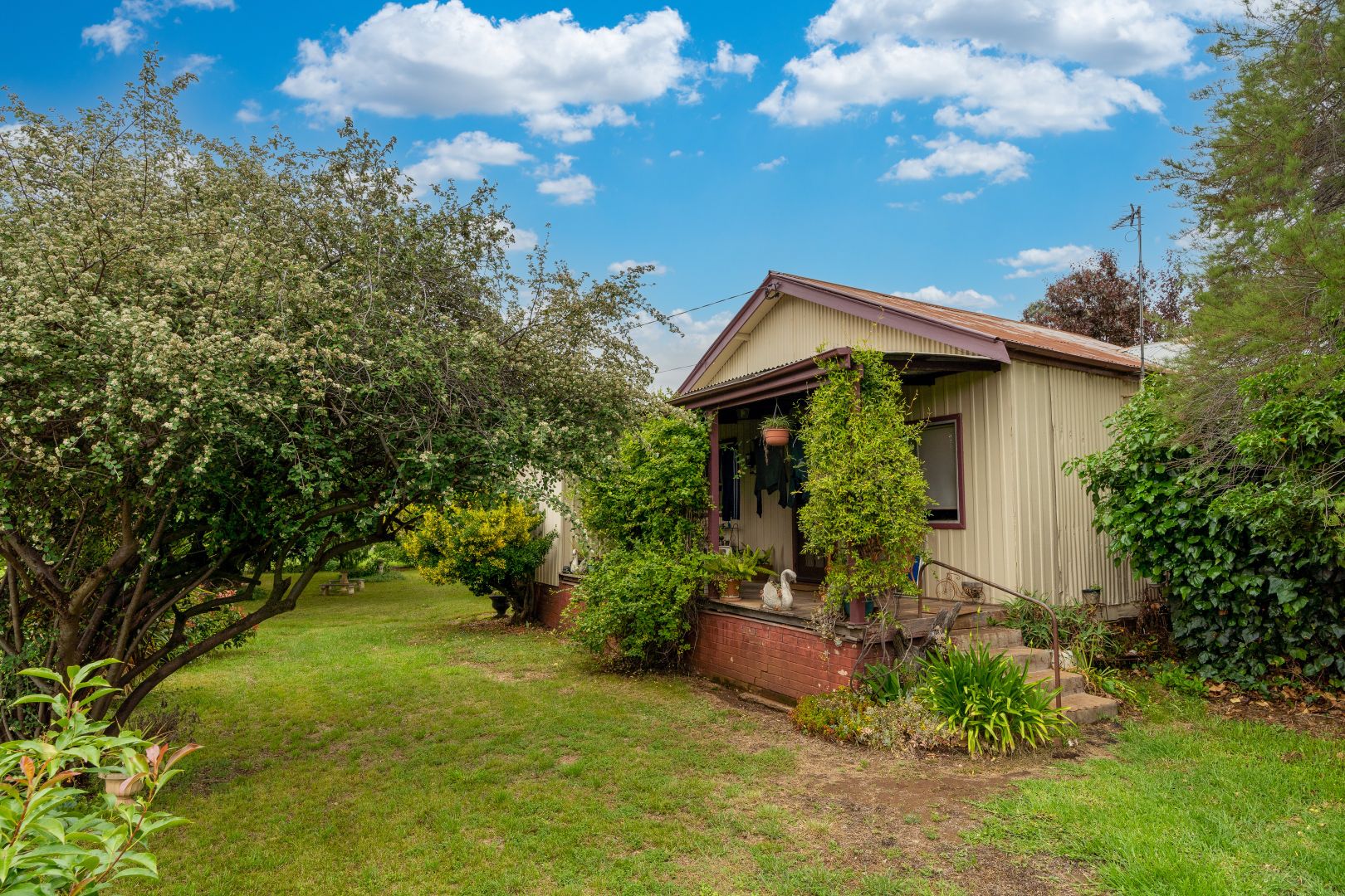 36 Boree Street, Cudal NSW 2864, Image 2